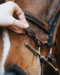 Fager Bit Lifter Toebehoren bitten - Maddelin Equestrian Fager