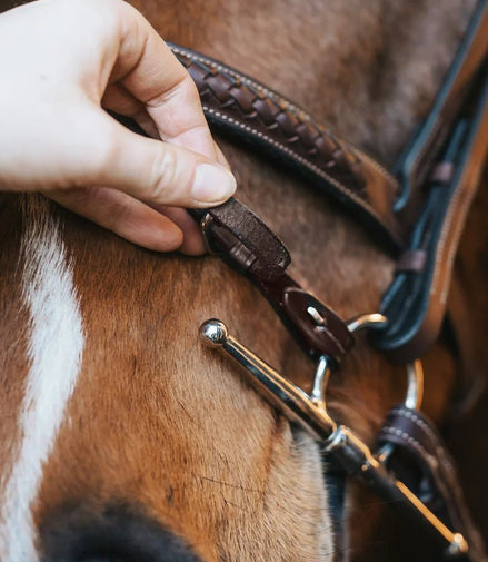 Fager Bit Lifter Toebehoren bitten - Maddelin Equestrian Fager