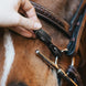 Fager Bit Lifter Toebehoren bitten - Maddelin Equestrian Fager