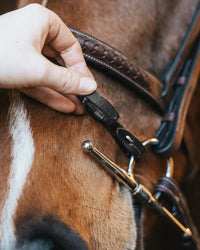 Fager Bit Lifter Toebehoren bitten - Maddelin Equestrian Fager