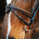 Fager Bit Lifter Toebehoren bitten - Maddelin Equestrian Fager