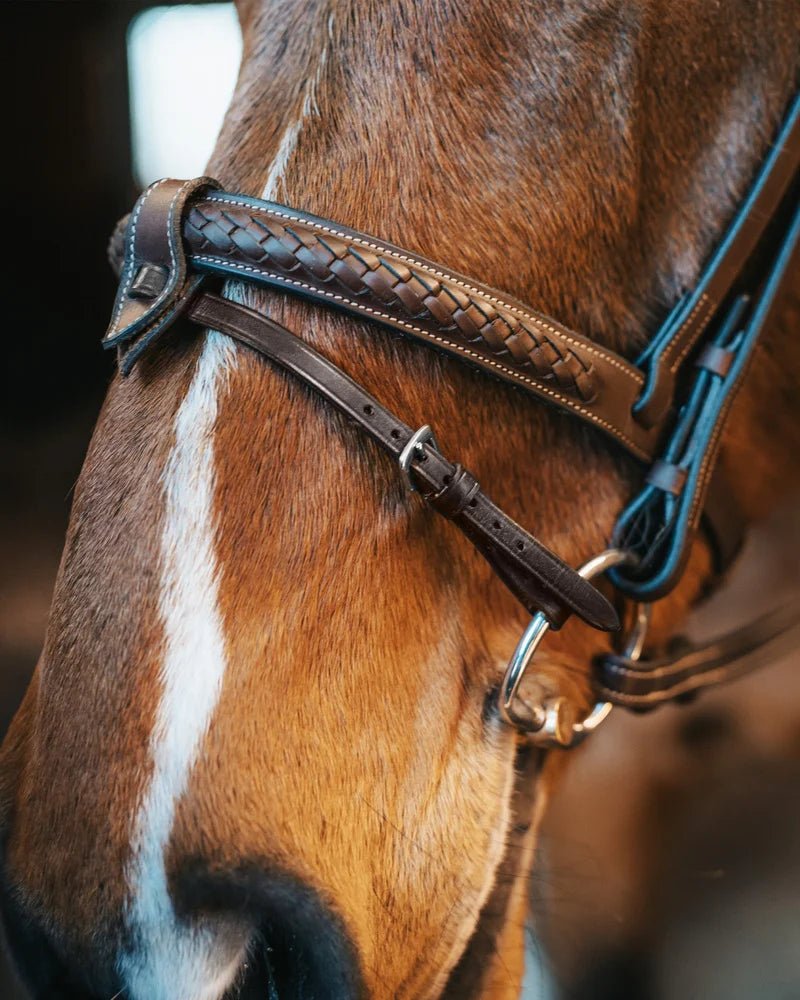 Fager Bit Lifter Toebehoren bitten - Maddelin Equestrian Fager