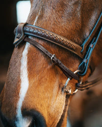 Fager Bit Lifter Toebehoren bitten - Maddelin Equestrian Fager