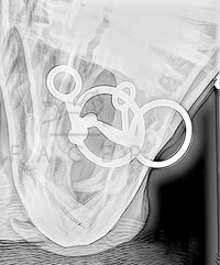 Fager Carl Titanium Losse ringen Watertrens - Maddelin Equestrian Fager