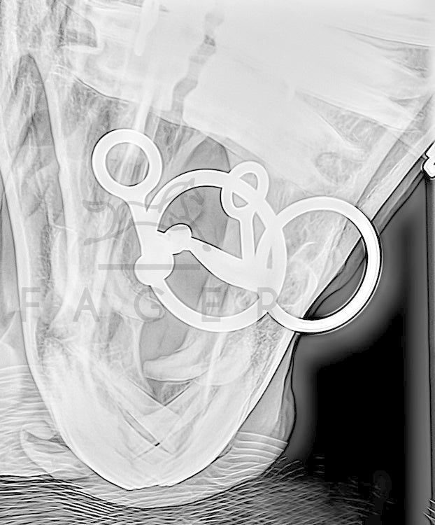 Fager Carl Titanium Losse ringen Watertrens - Maddelin Equestrian Fager