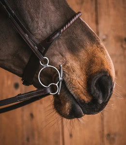 Fager Carl Titanium Universal Bit 3ring, Beval, Kimblewick, RNF, Butterfly,... - Maddelin Equestrian Fager