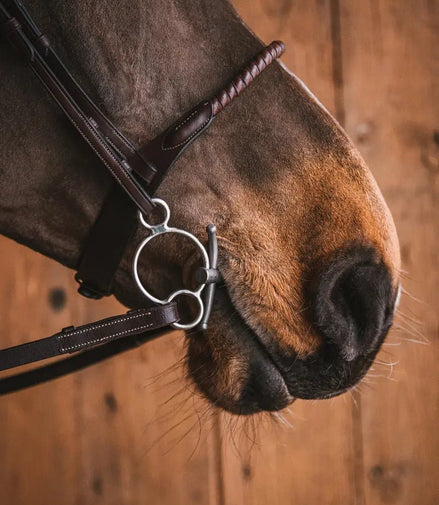 Fager Carl Titanium Universal Bit 3ring, Beval, Kimblewick, RNF, Butterfly,... - Maddelin Equestrian Fager