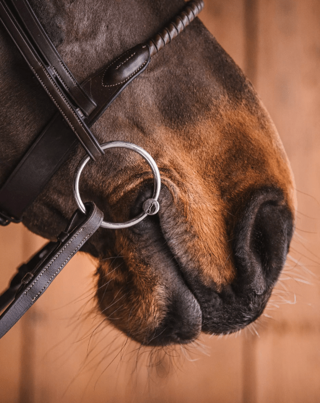 Fager Claudia Sweet Iron Watertrens - Maddelin Equestrian Fager