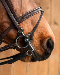 Fager Double Bit Lifter Toebehoren bitten - Maddelin Equestrian Fager