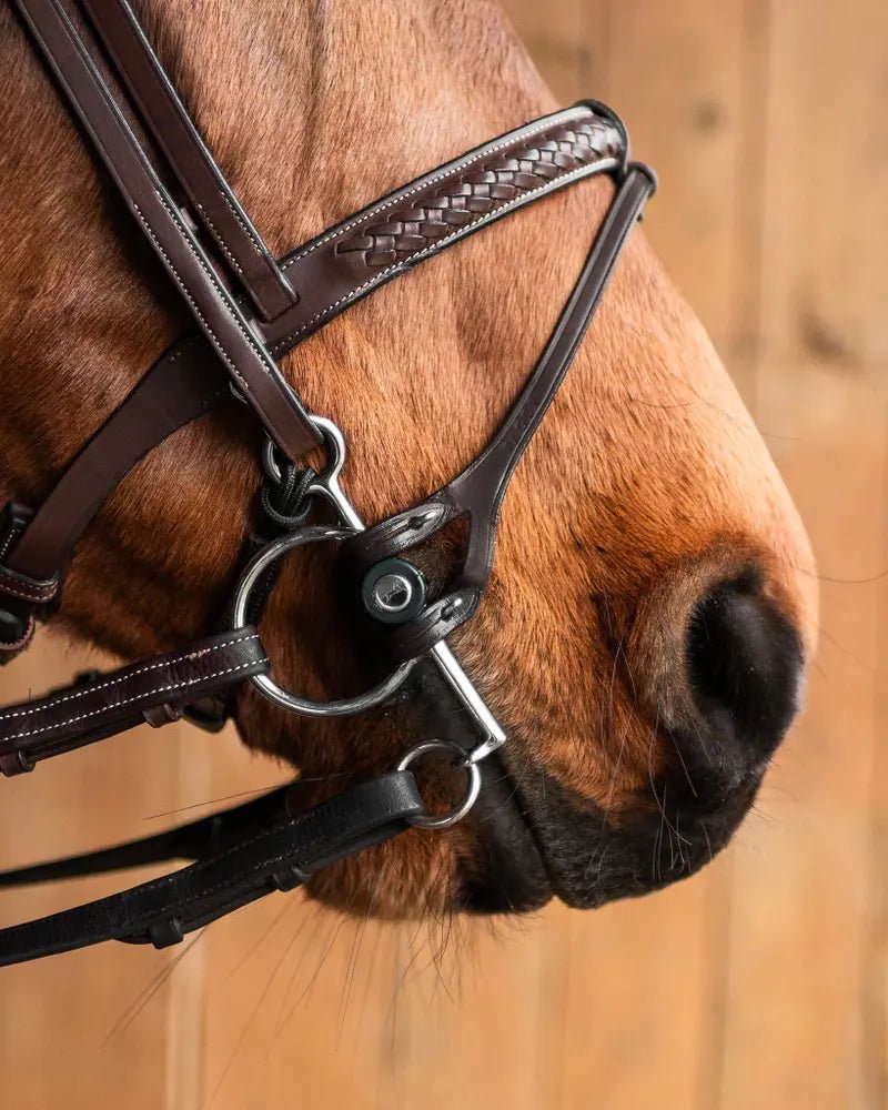 Fager Double Bit Lifter Toebehoren bitten - Maddelin Equestrian Fager