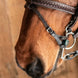 Fager Double Bit Lifter Toebehoren bitten - Maddelin Equestrian Fager