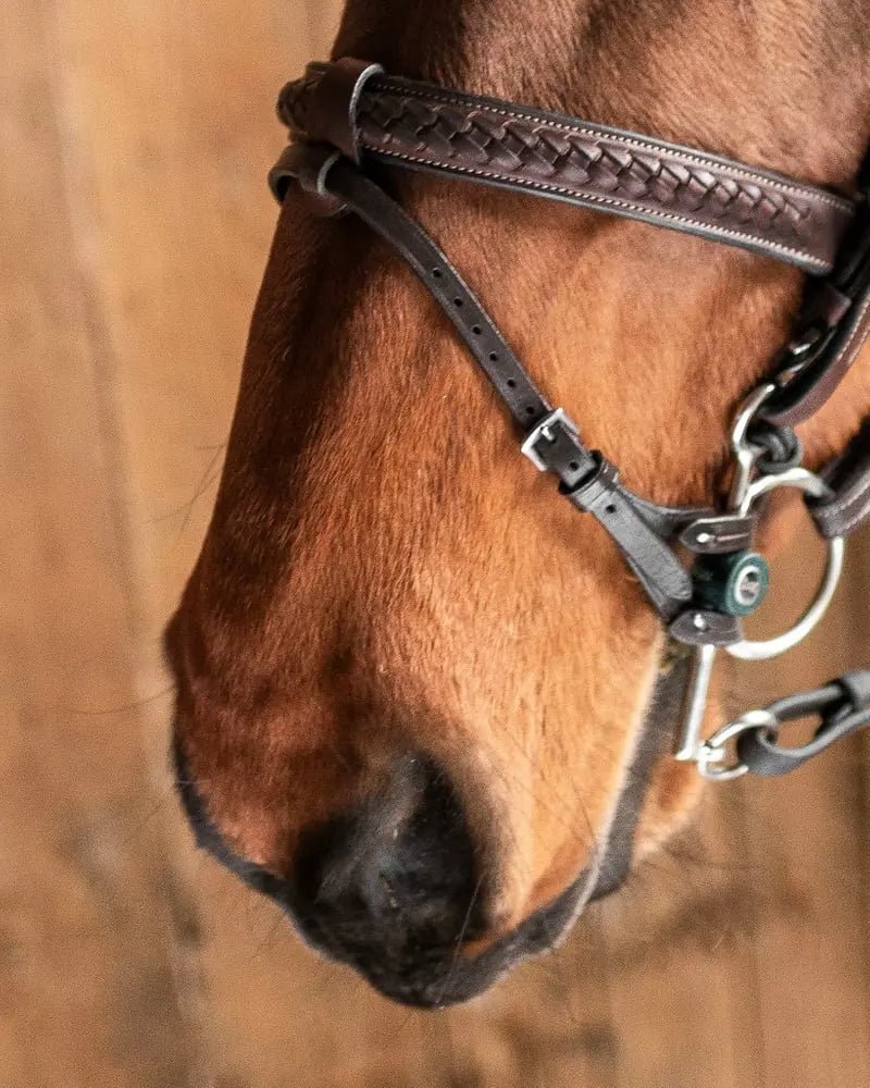 Fager Double Bit Lifter Toebehoren bitten - Maddelin Equestrian Fager