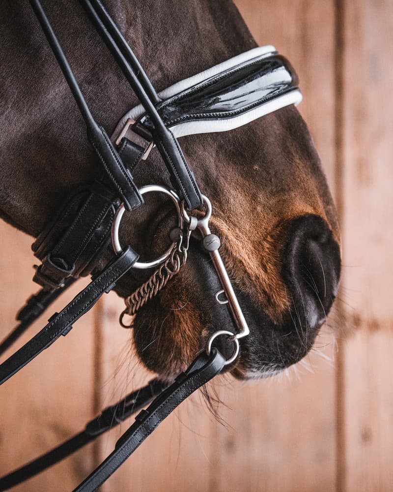 Fager Elisabeth Titanium Stang - 7cm Dressuurstang - Maddelin Equestrian Fager