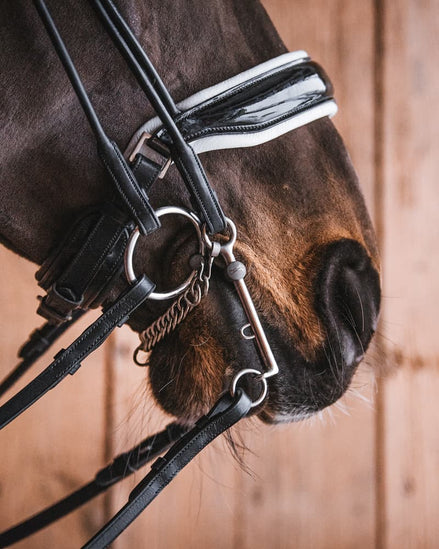 Fager Elisabeth Titanium Stang - 7cm Dressuurstang - Maddelin Equestrian Fager