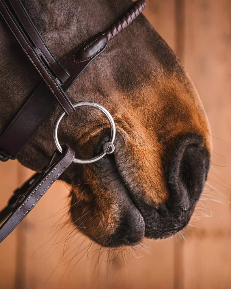 Fager Felix Sweet Iron Watertrens - Maddelin Equestrian Fager