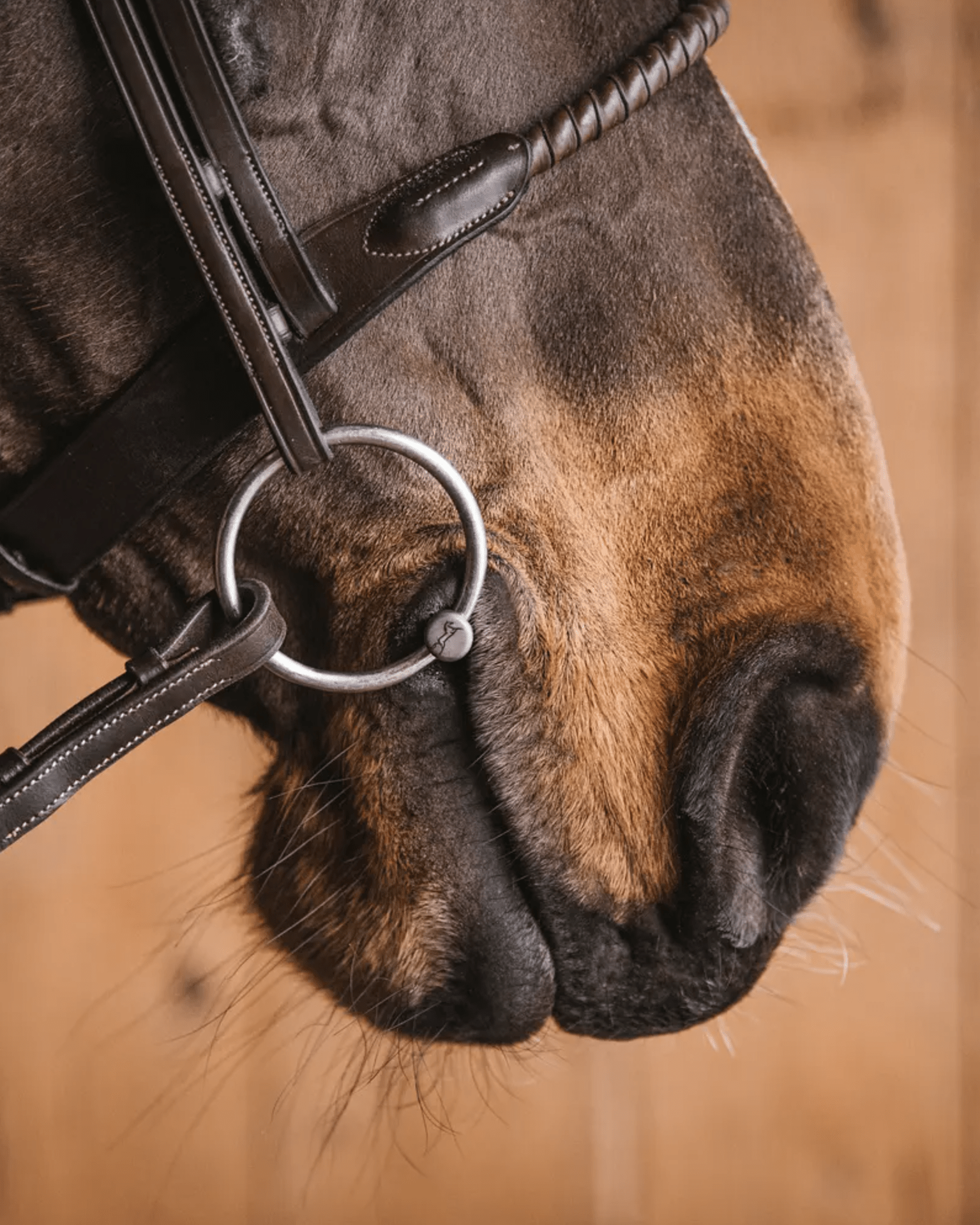 Fager Hilda Watertrens Watertrens - Maddelin Equestrian Fager