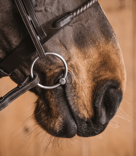 Fager Hilda Watertrens Watertrens - Maddelin Equestrian Fager