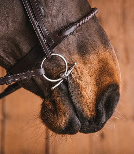 Fager John Sweet Iron Baby Fulmer Bus, D, Eggbutt,... - Maddelin Equestrian Fager