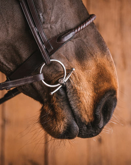 Fager John Sweet Iron Baby Fulmer Bus, D, Eggbutt,... - Maddelin Equestrian Fager