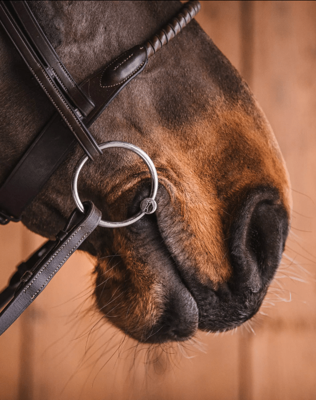 Fager John Sweet Iron Watertrens - Maddelin Equestrian Fager