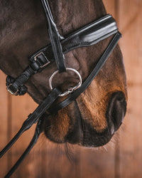 Fager Kasper Sweet iron Onderlegtrens Fixed rings Onderlegtrens - Maddelin Equestrian Fager