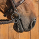 Fager Maria Titanium 2,5 rings - 14mm 3ring, Beval, Kimblewick, RNF, Butterfly,... - Maddelin Equestrian Fager