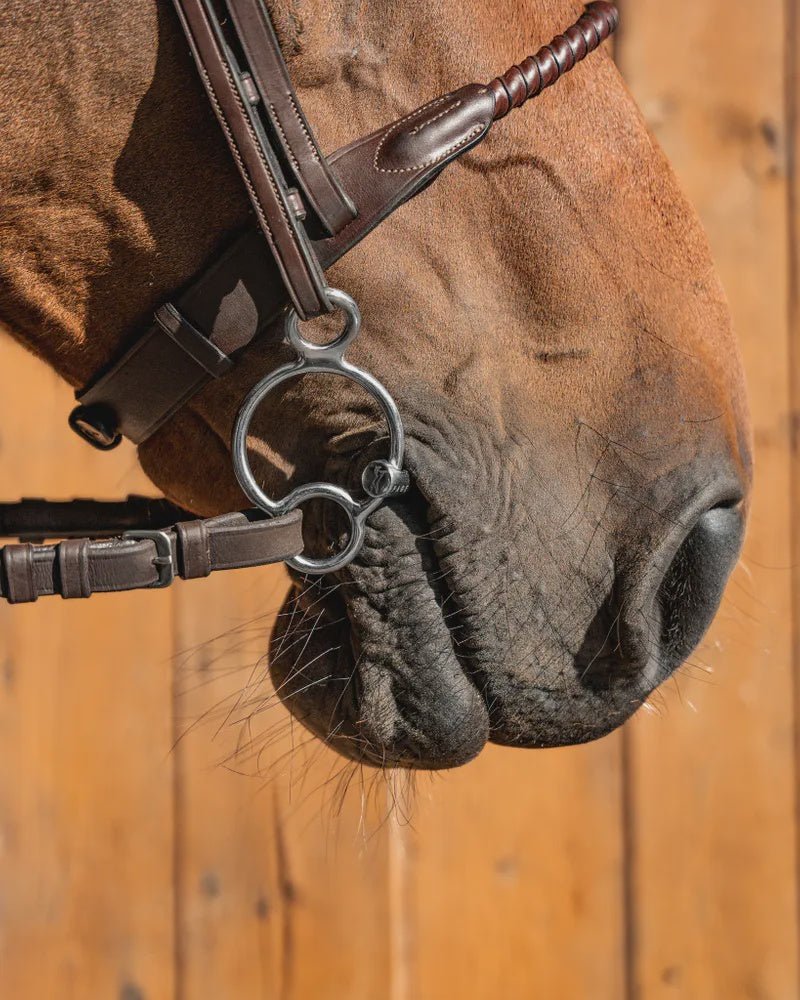 Fager Maria Titanium 2,5 rings - 14mm 3ring, Beval, Kimblewick, RNF, Butterfly,... - Maddelin Equestrian Fager