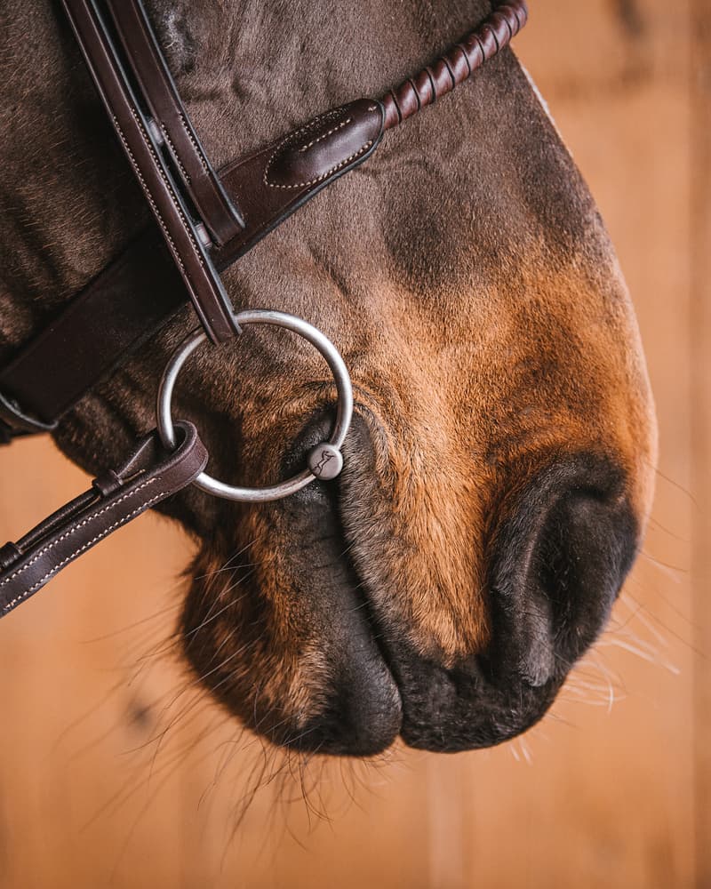 Fager Maria Titanium Dubbel Gebroken Losse ringen Watertrens - Maddelin Equestrian Fager