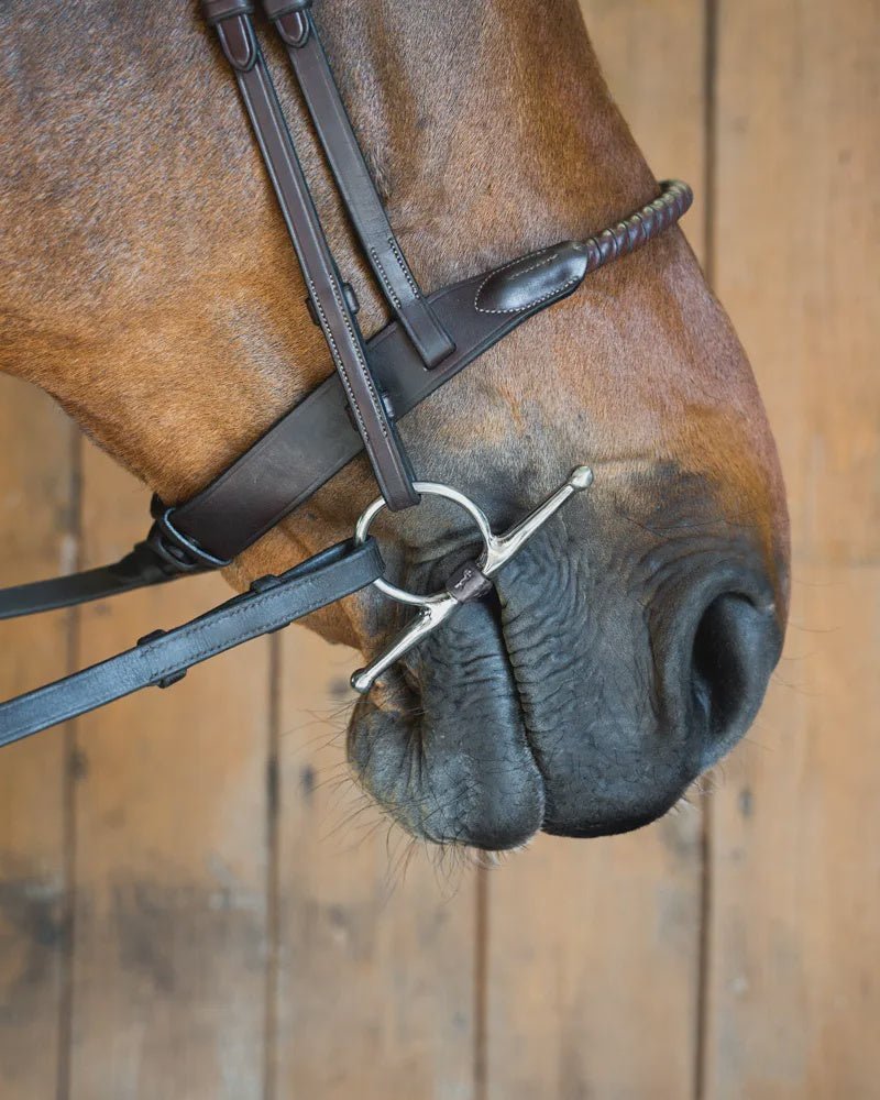 Fager Maria Titanium Kneveltrens - 14mm Bus, D, Eggbutt,... - Maddelin Equestrian Fager