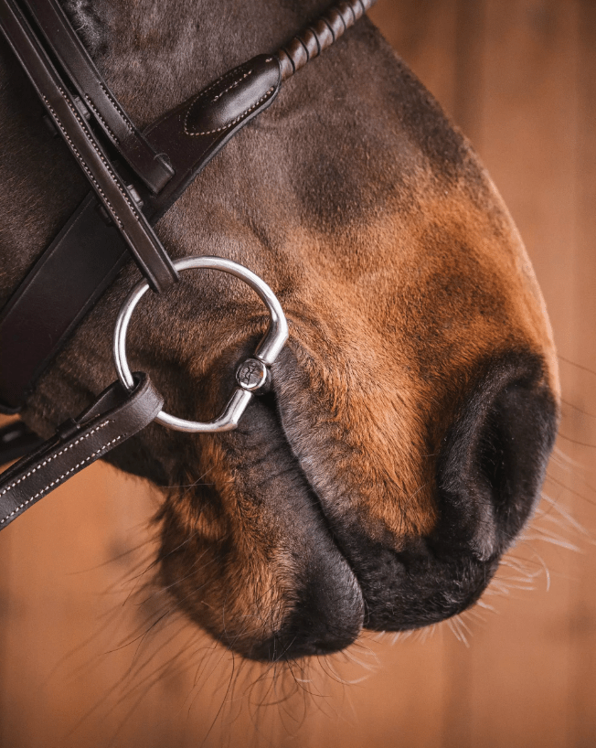 Fager Martin FL Sweet Iron Bus, D, Eggbutt,... - Maddelin Equestrian Fager