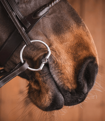 Fager Martin FL Sweet Iron Bus, D, Eggbutt,... - Maddelin Equestrian Fager