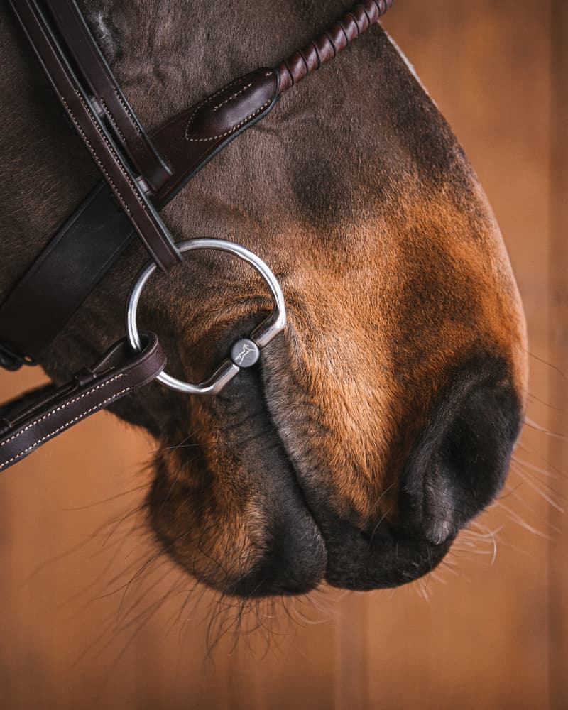Fager Matilda Titanium vaste Ringen Bus, D, Eggbutt,... - Maddelin Equestrian Fager