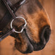 Fager Mattias Sweet Iron Fixed rings Bus, D, Eggbutt,... - Maddelin Equestrian Fager