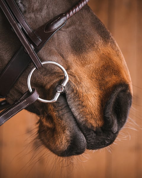 Fager Mattias Sweet Iron Fixed rings Bus, D, Eggbutt,... - Maddelin Equestrian Fager