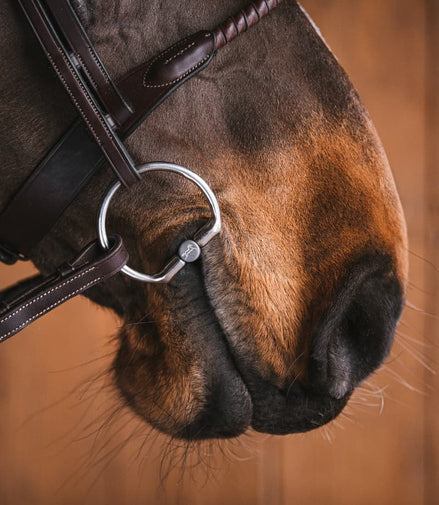 Fager Mia Titanium Bus, D, Eggbutt,... - Maddelin Equestrian Fager