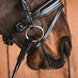 Fager Milton Sweet Iron Onderlegtrens Onderlegtrens - Maddelin Equestrian Fager
