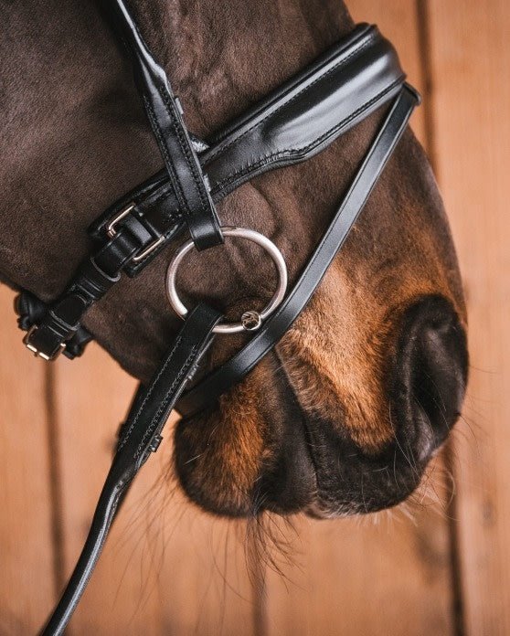Fager Milton Sweet Iron Onderlegtrens Onderlegtrens - Maddelin Equestrian Fager