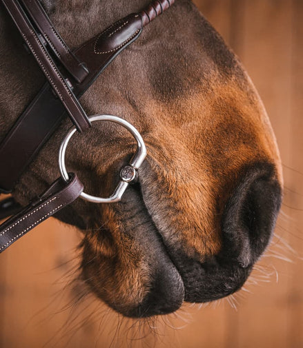 Fager Nils Sweet iron Barrel Fixed Ring Bus, D, Eggbutt,... - Maddelin Equestrian Fager