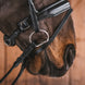 Fager Oliver Sweet iron Onderlegtrens Fixed rings Onderlegtrens - Maddelin Equestrian Fager