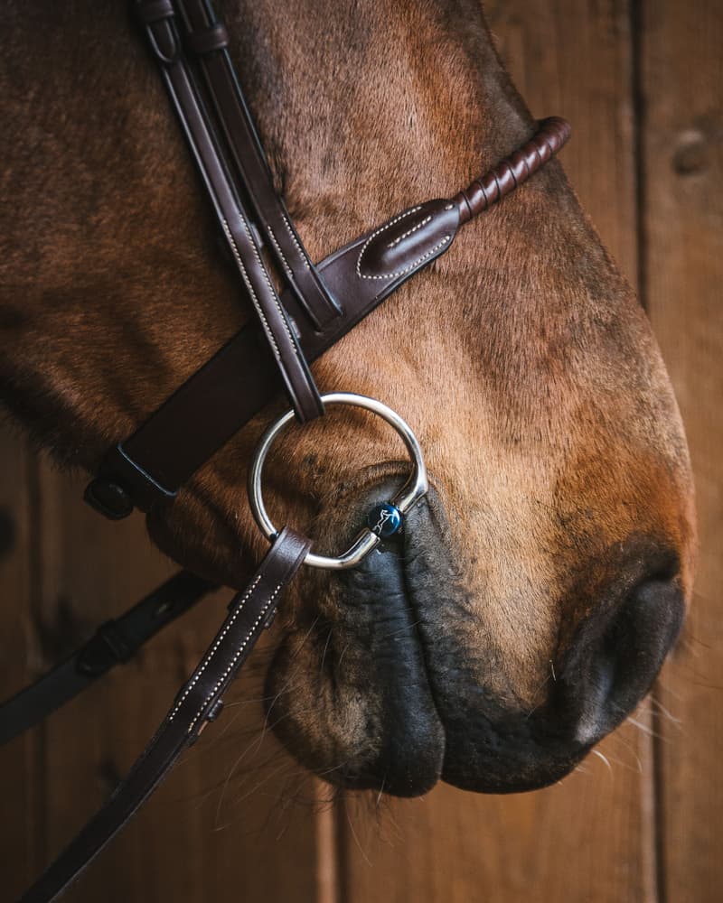 Fager Oscar FL Titanium Watertrens - Maddelin Equestrian Fager