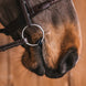 Fager Oscar FL Titanium Watertrens - Maddelin Equestrian Fager