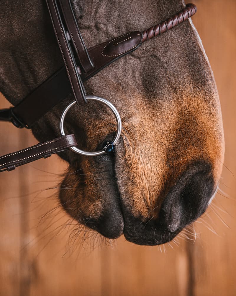 Fager Oscar FL Titanium Watertrens - Maddelin Equestrian Fager