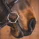 Fager Penny Fixed rings Bit Bus, D, Eggbutt,... - Maddelin Equestrian Fager