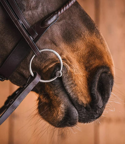 Fager Rune Watertrens – Dubbelgebroken Losse Ringen RVS Watertrens - Maddelin Equestrian Fager