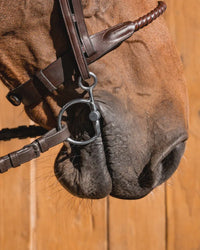 Fager Sally Titanium Baucher 12.5cm 14mm Ophaal, Curbgag,... - Maddelin Equestrian Fager