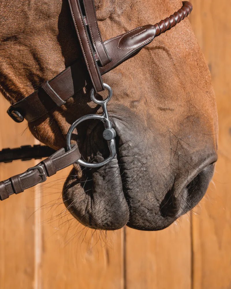 Fager Sally Titanium Baucher 12.5cm 14mm Ophaal, Curbgag,... - Maddelin Equestrian Fager