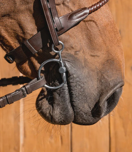 Fager Sally Titanium Baucher 12.5cm 14mm Ophaal, Curbgag,... - Maddelin Equestrian Fager