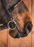 Fager Sally Titanium Loose Baucher 3ring, Beval, Kimblewick, RNF, Butterfly,... - Maddelin Equestrian Fager