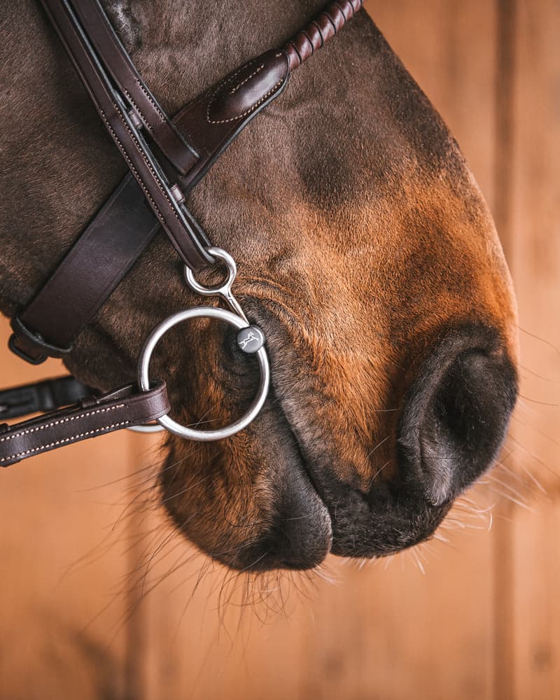 Fager Sally Titanium Loose Baucher 3ring, Beval, Kimblewick, RNF, Butterfly,... - Maddelin Equestrian Fager