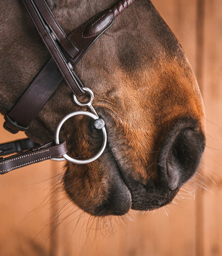Fager Sally Titanium Loose Baucher 3ring, Beval, Kimblewick, RNF, Butterfly,... - Maddelin Equestrian Fager